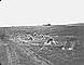 Cutting and stooking on Fred Engen's farm, Saskatchewan, ca. 1910