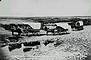 Covered wagons from the United States in southern Alberta, ca. 1893