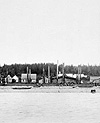 Photograph of Masset village (Haida) from the ship ISLANDER, 1890