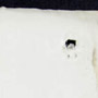 Sketchbook by Napaguain, son of Chief Running Rabbit of the Blackfoot Tribe, which includes some correspondence, 1894. RG 10, volume 3910, file 110,156, 29 pages
