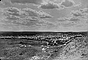 Moutons dans les Prairies, v. 1910